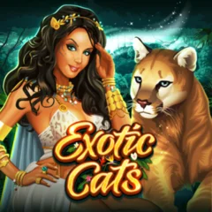 Exotic Cats - STORYBET138